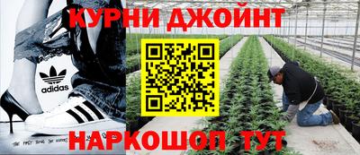 прущие крисы Баксан