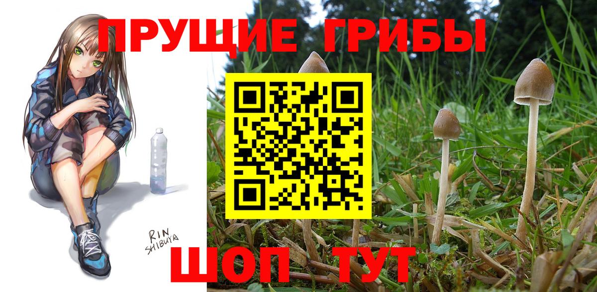 ГАШ  ТГК  Мефедрон   Богородск  Вход с VPN  Марихуана  Cocaine 